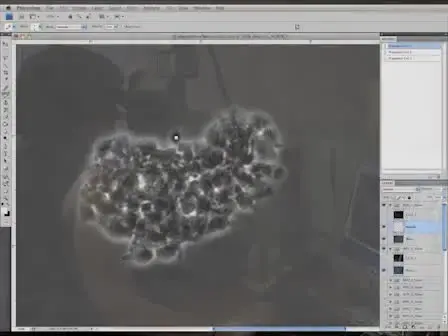 Localizing Protein in 3D Neural Stem Cell Culture: a Hybrid Visualization Methodology