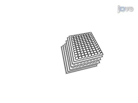Measuring <em>Caenorhabditis elegans</em> Life Span in 96 Well Microtiter Plates