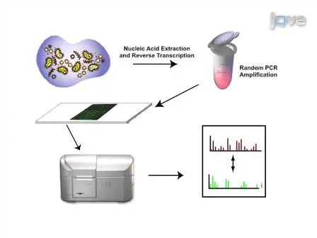 Using a Pan-Viral Microarray Assay (Virochip) to Screen Clinical Samples for Viral Pathogens