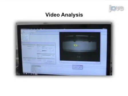 Swimming Performance Assessment in Fishes