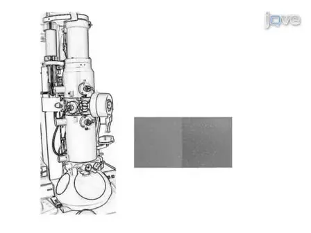 Single Particle Electron Microscopy Reconstruction of the Exosome Complex Using the Random Conical Tilt Method