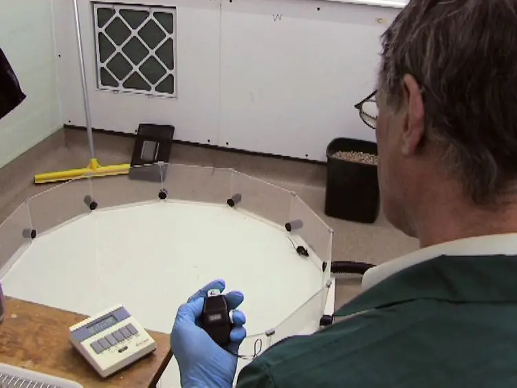 Shallow Water (Paddling) Variants of Water Maze Tests in Mice