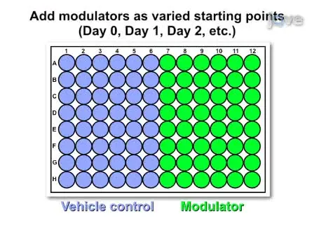 Modified Mouse Embryonic Stem Cell based Assay for Quantifying  Cardiogenic Induction Efficiency