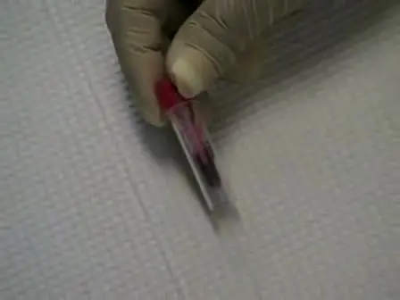 Drawing Blood from Rats through the Saphenous Vein and by Cardiac Puncture