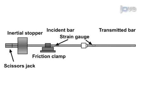 Impulsive Pressurization of Neuronal Cells for Traumatic Brain Injury Study