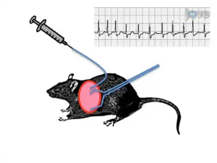 Methods for ECG Evaluation of Indicators of Cardiac Risk, and Susceptibility to Aconitine-induced Arrhythmias in Rats Following Status Epilepticus