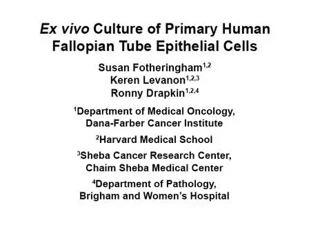 <em>Ex Vivo</em> Culture of Primary Human Fallopian Tube Epithelial Cells