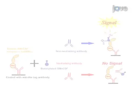 A Cell Free Assay System Estimating the Neutralizing Capacity of GM-CSF Antibody using Recombinant Soluble GM-CSF Receptor
