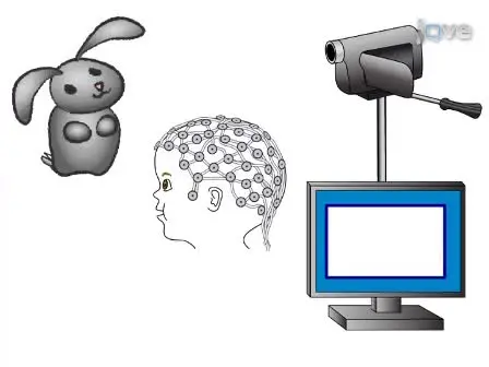Investigating Social Cognition in Infants and Adults Using Dense Array Electroencephalography (<sub>d</sub>EEG)