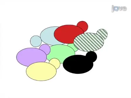 Competitive Genomic Screens of Barcoded Yeast Libraries