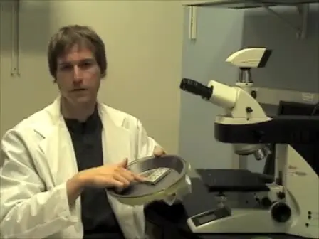 Low-Cost Cryo-Light Microscopy Stage Fabrication for Correlated Light/Electron Microscopy