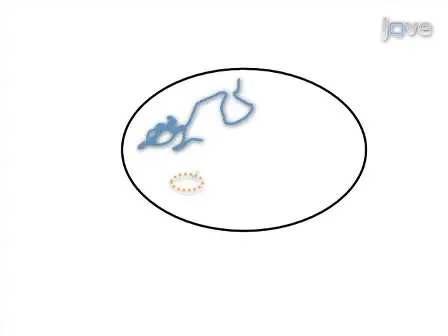 Morris Water Maze Test for Learning and Memory Deficits in Alzheimer's Disease Model Mice