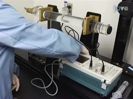Lateral Fluid Percussion: Model of Traumatic Brain Injury in Mice