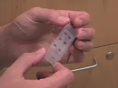 Laser Capture Microdissection of Mammalian Tissue
