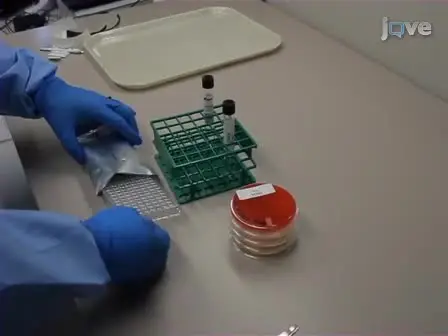 Antimicrobial Susceptibility Testing of Mycobacterium Tuberculosis Complex for First and Second Line Drugs by Broth Dilution in a Microtiter Plate Format