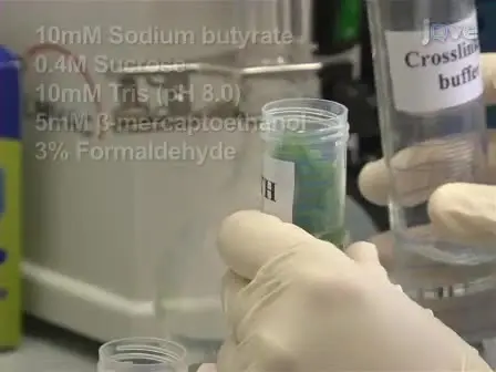 Detection of Histone Modifications in Plant Leaves