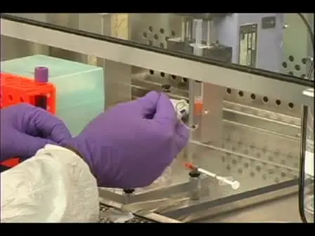 Cell Capture Using a Microfluidic Device