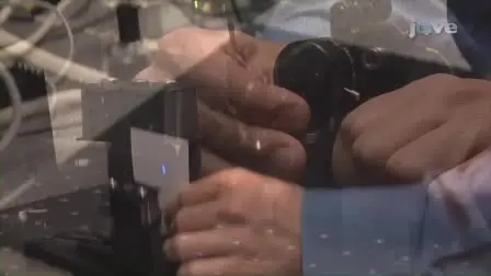 Video-rate Scanning Confocal Microscopy and Microendoscopy
