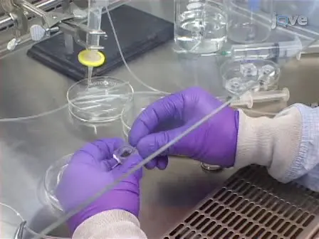 Culturing and Electrophysiology of Cells on NRCC Patch-clamp Chips