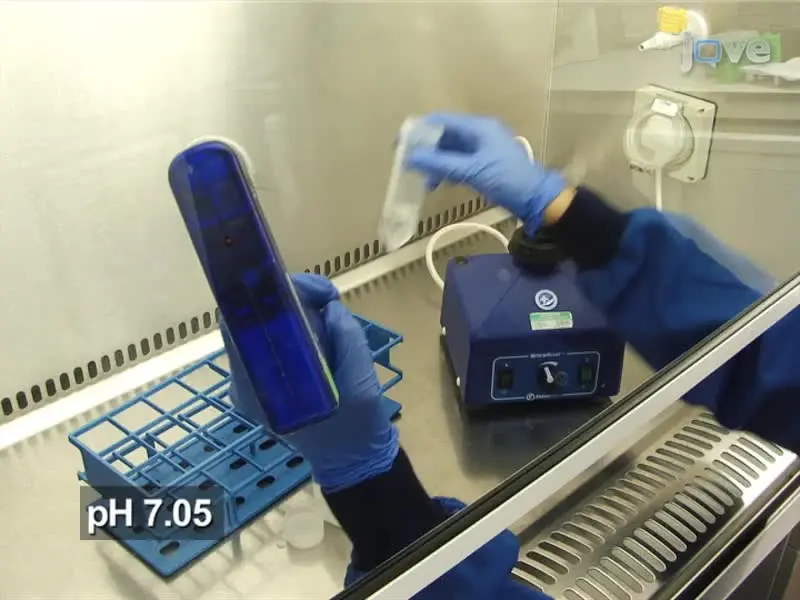 Production and Titering of Recombinant Adeno-associated Viral Vectors