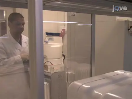 High Content Screening in Neurodegenerative Diseases