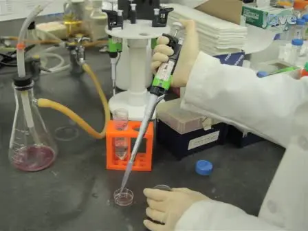 Measuring Fast Calcium Fluxes in Cardiomyocytes