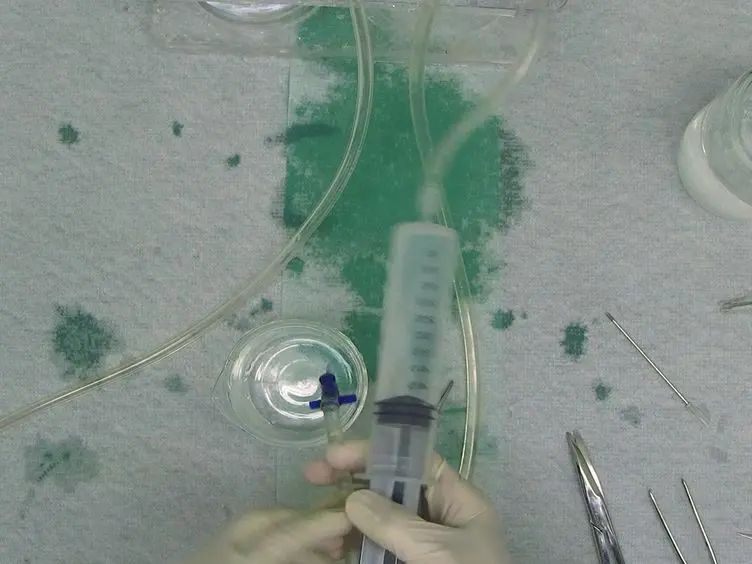 Whole Animal Perfusion Fixation for Rodents