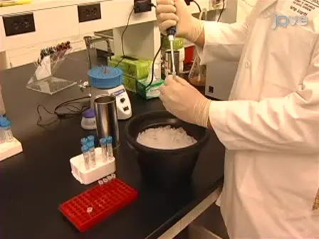 Application of MassSQUIRM for Quantitative Measurements of Lysine Demethylase Activity