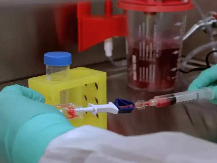 Expanding Cytotoxic T Lymphocytes from Umbilical Cord Blood that Target Cytomegalovirus, Epstein-Barr Virus, and Adenovirus