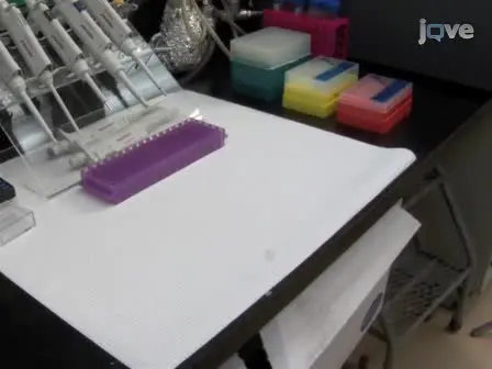 <em>In vitro</em> Assembly of Semi-artificial Molecular Machine and its Use for Detection of DNA Damage