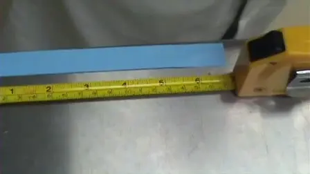 The Tail Suspension Test