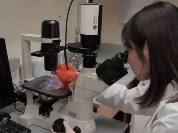Reprogramming Human Somatic Cells into Induced Pluripotent Stem Cells (iPSCs) Using Retroviral Vector with GFP