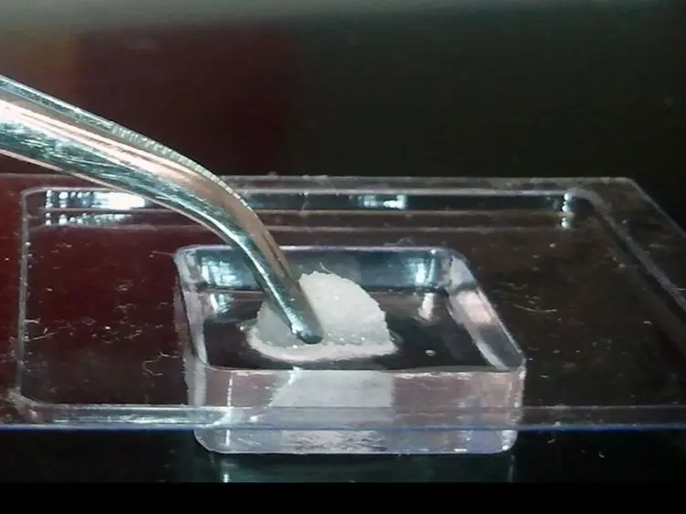 The Polyvinyl Alcohol Sponge Model Implantation