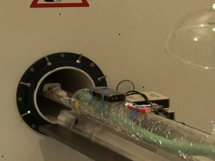 Multimodal Imaging of Stem Cell Implantation in the Central Nervous System of Mice