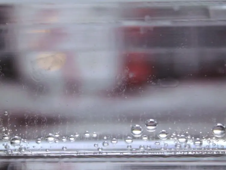 Agarose Gel Electrophoresis for the Separation of DNA Fragments