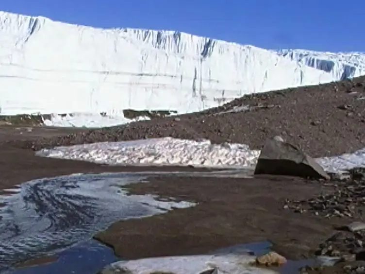 Establishment of Microbial Eukaryotic Enrichment Cultures from a Chemically Stratified Antarctic Lake and Assessment of Carbon Fixation Potential