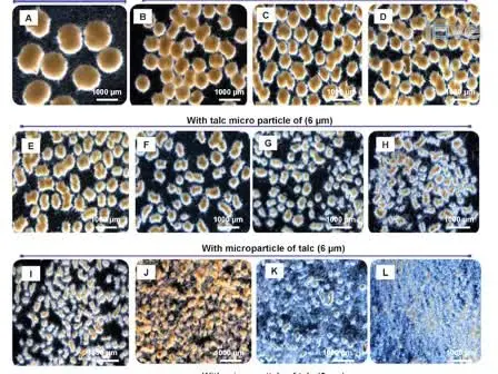 Customization of <em>Aspergillus niger</em> Morphology Through Addition of Talc Micro Particles