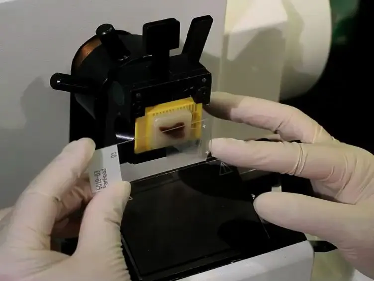 Staining Protocols for Human Pancreatic Islets