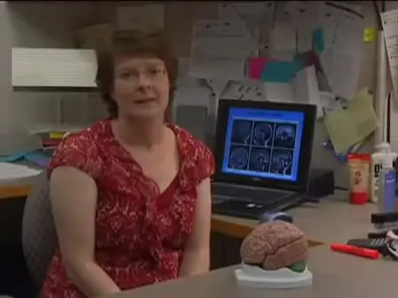 Understanding Cerebellar Pattern Formation