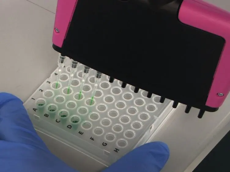 The Green Monster Process for the Generation of Yeast Strains Carrying Multiple Gene Deletions