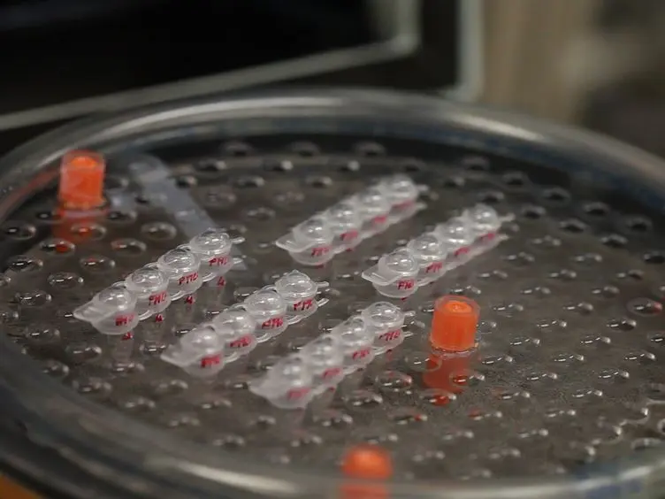Protein Misfolding Cyclic Amplification of Prions