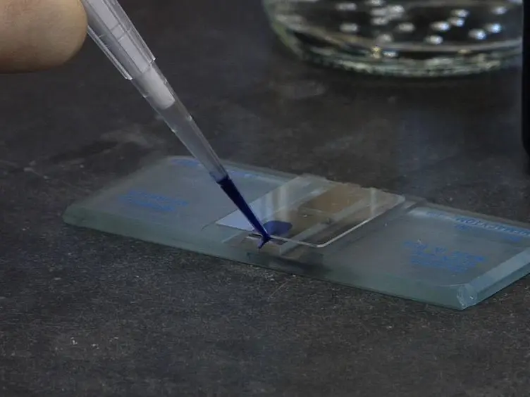 Small-scale Nuclear Extracts for Functional Assays of Gene-expression Machineries