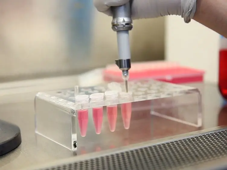 Reverse Genetics Mediated Recovery of Infectious Murine Norovirus
