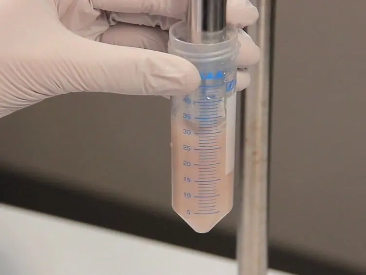 Isolation of Cardiomyocyte Nuclei from Post-mortem Tissue