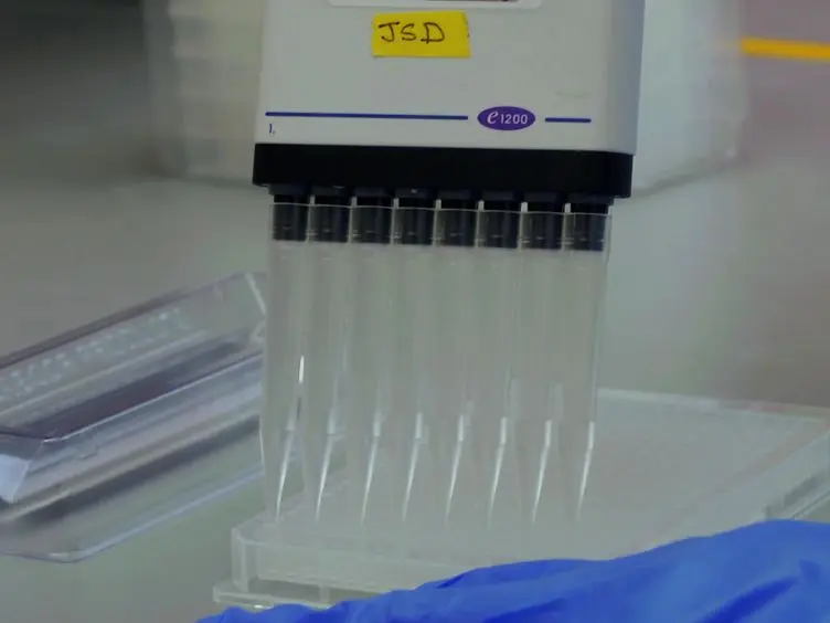 High-throughput Screening for Small-molecule Modulators of Inward Rectifier Potassium Channels