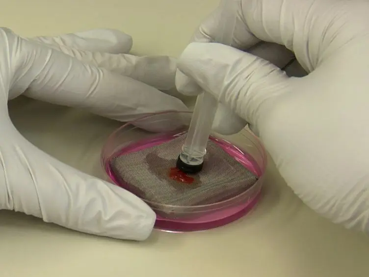 Examination of Thymic Positive and Negative Selection by Flow Cytometry