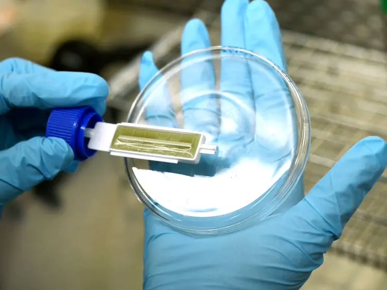 The Portable Chemical Sterilizer (PCS), D-FENS, and D-FEND ALL: Novel Chlorine Dioxide Decontamination Technologies for the Military