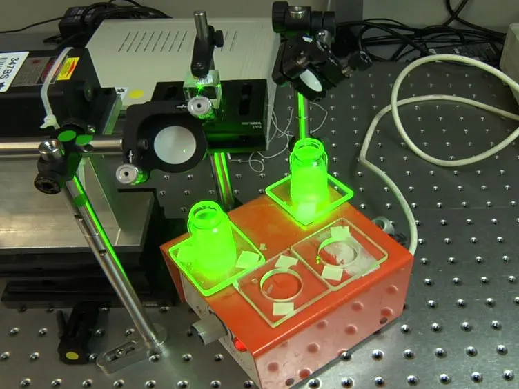 The Synergistic Effect of Visible Light and Gentamycin on <em>Pseudomona aeruginosa</em> Microorganisms