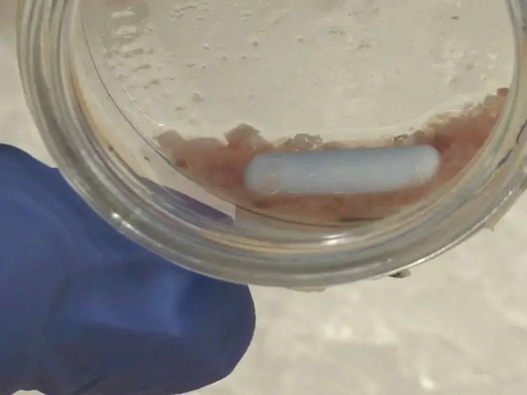 Isolation of Normal and Cancer-associated Fibroblasts from Fresh Tissues by Fluorescence Activated Cell Sorting (FACS)