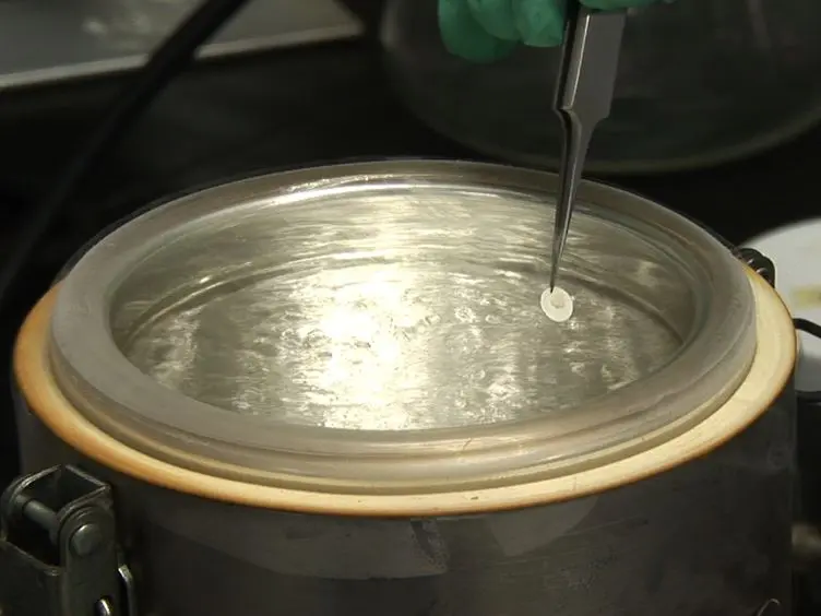 Cryosectioning Yeast Communities for Examining Fluorescence Patterns